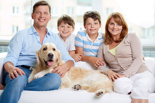 Reasons To Visit A Family Dentist For A Dental Exam